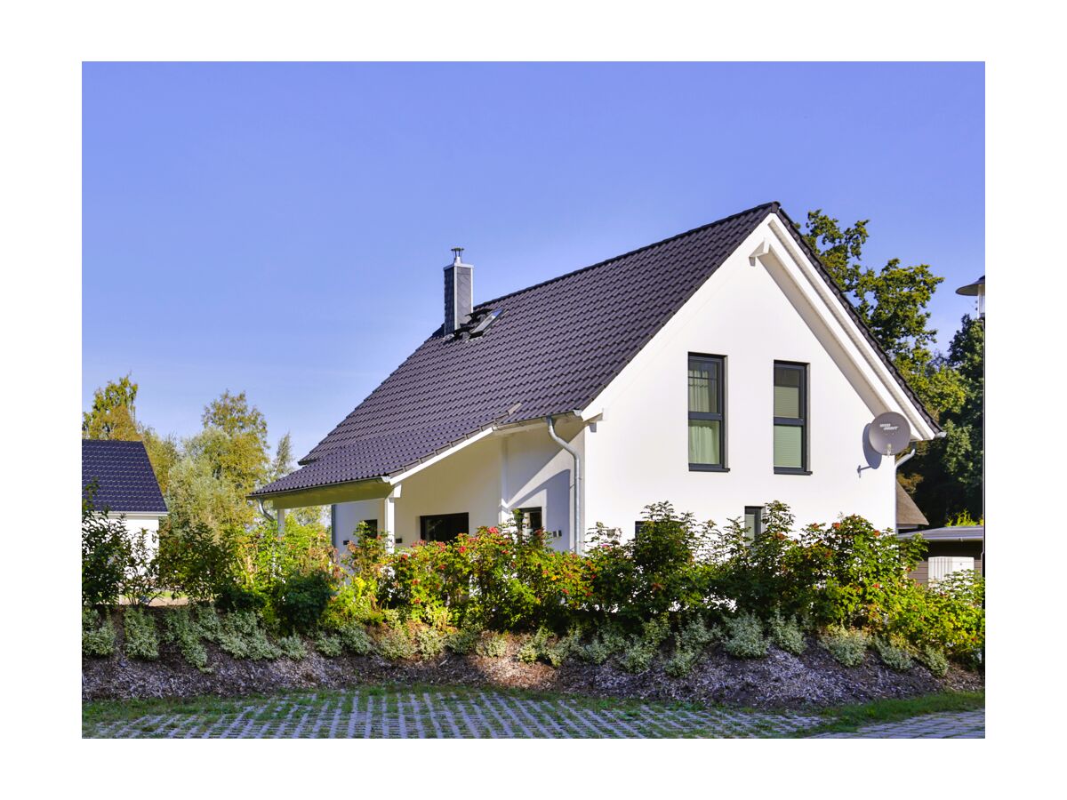 Großes Foto aus der Bildergallerie